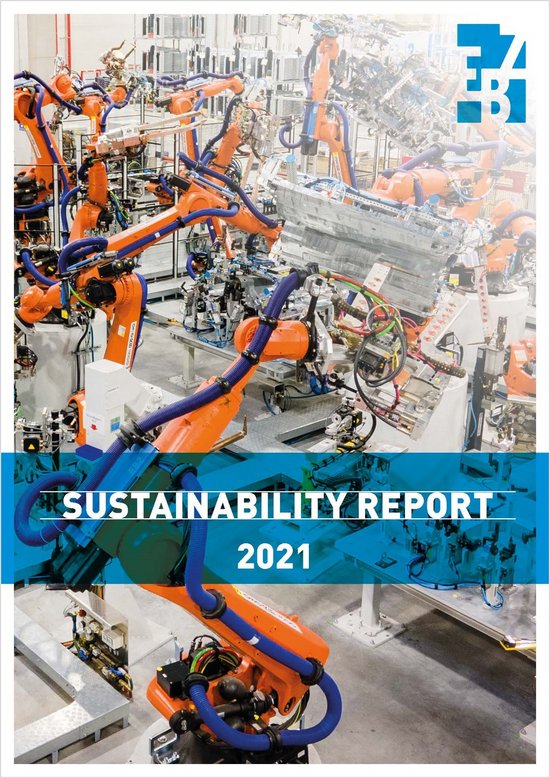 Cover of the Sustainability Report. This contains our measures and approaches to maintain sustainability in the company.